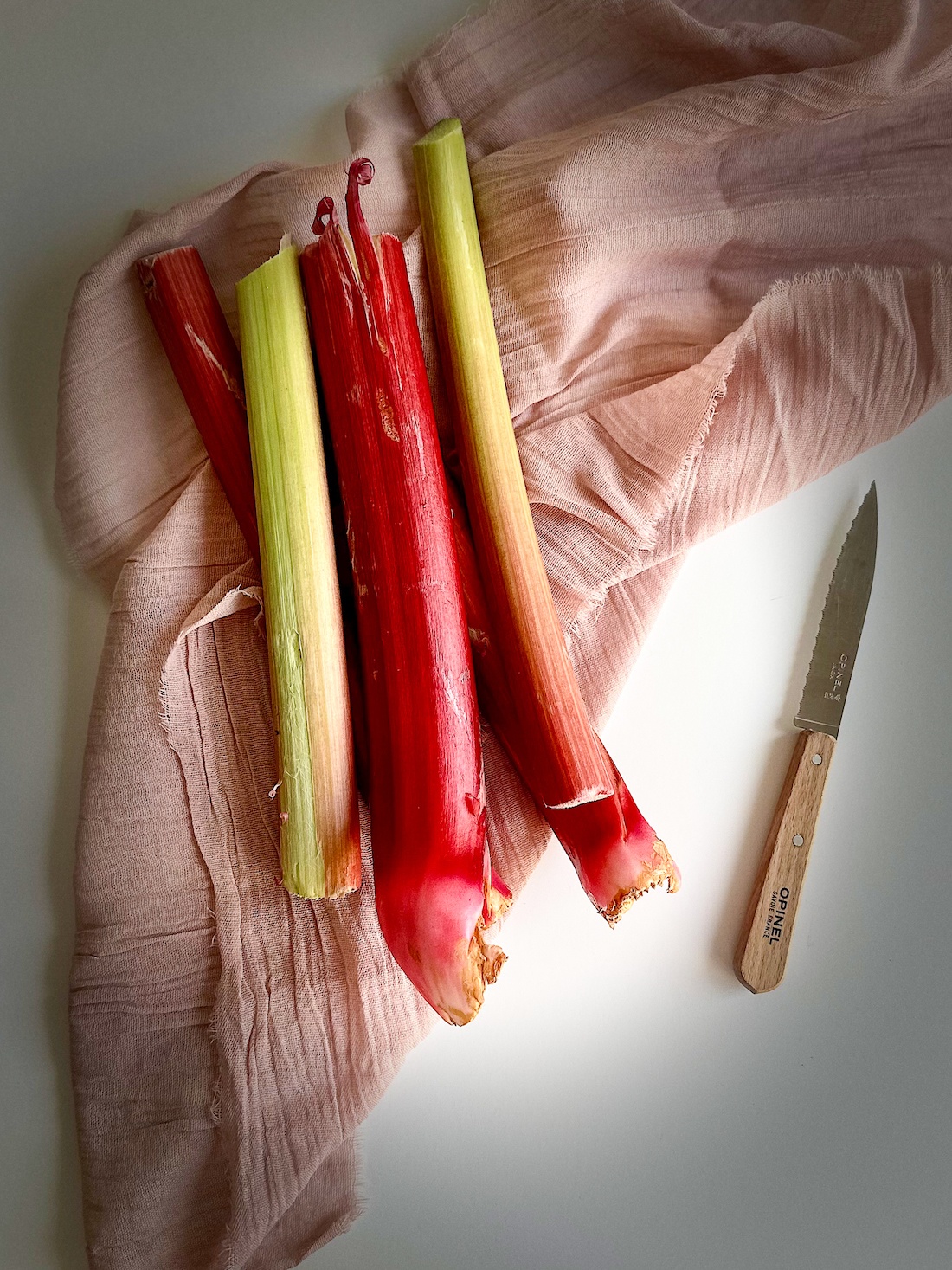 Rhubarb stalk on a pink towel