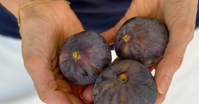 What to cook in September: seasonal produce guide