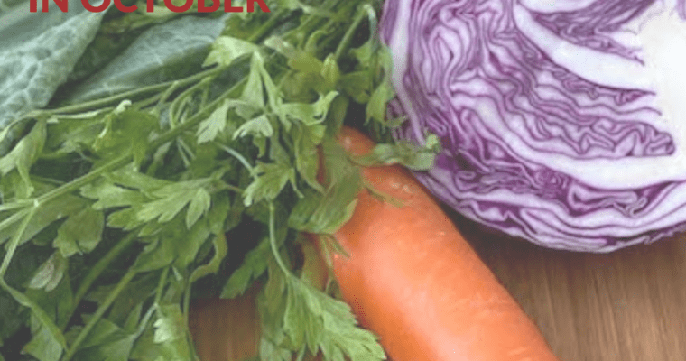 What to cook in October