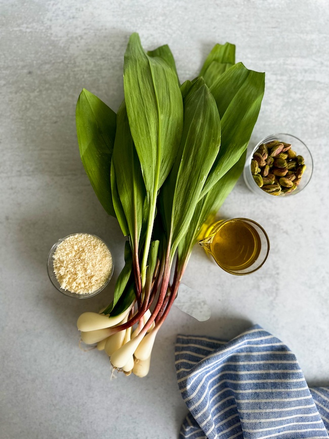 Bunch of ramps, Parmesan, Olive oil and Pistacchios