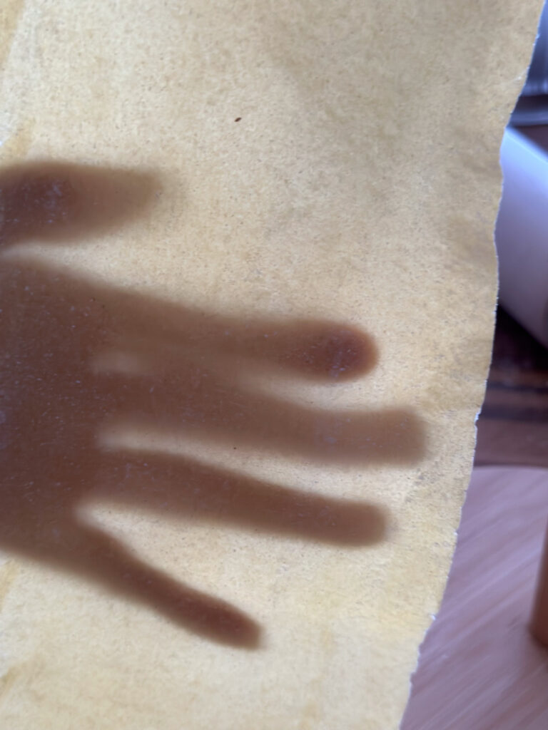 test window: looking at the dough sheet against the window
