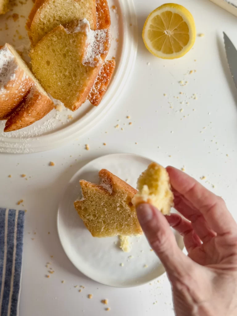 slice of cake in hand
