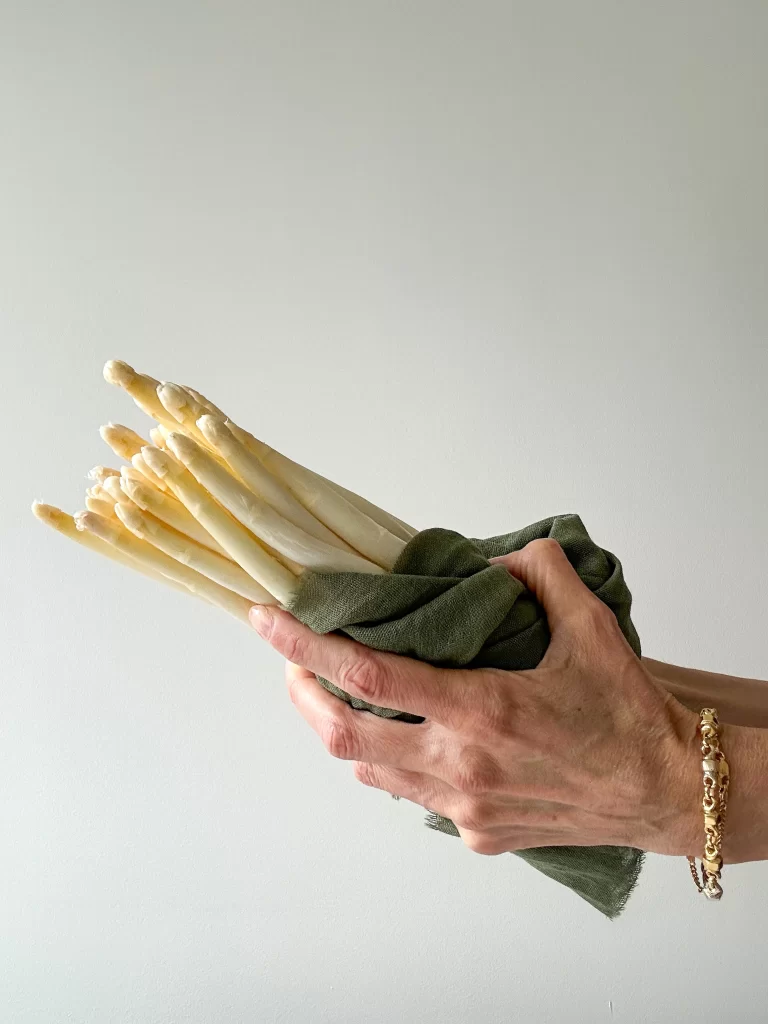 bunch of white asparagus in hands