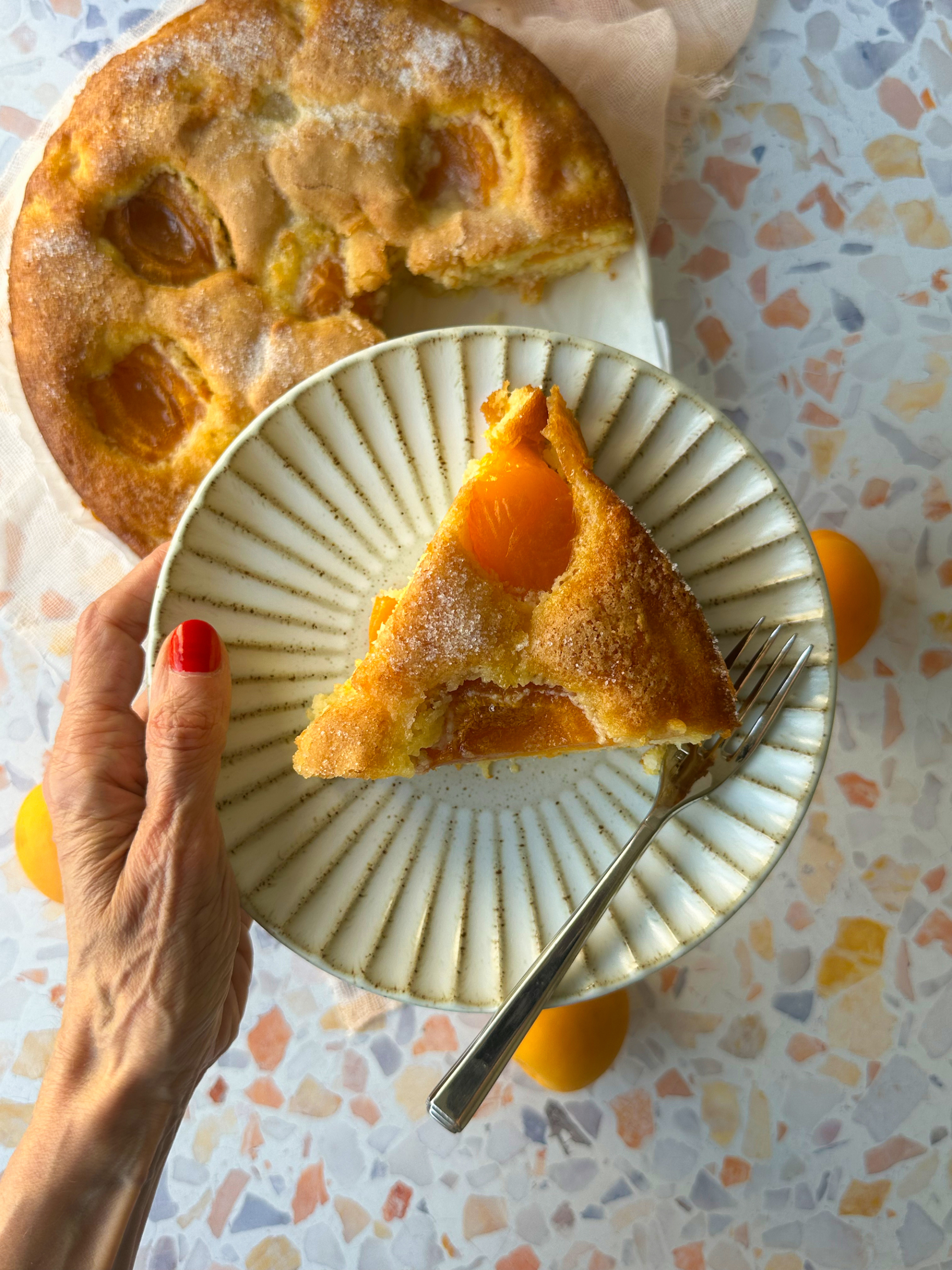Hand holding a plate with a slice of apricot cake