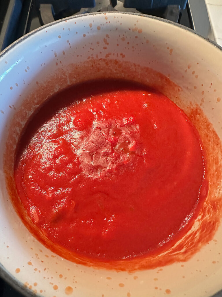 Tomato Sauce in the pot